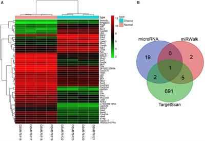 Downregulated microRNA-129-5p by Long Non-coding RNA NEAT1 Upregulates PEG3 Expression to Aggravate Non-alcoholic Steatohepatitis